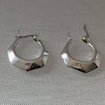 Lade das Bild in den Galerie-Viewer, Moderne Silber-Ohrringe mit glänzendem Schliff und Klappverschluss
