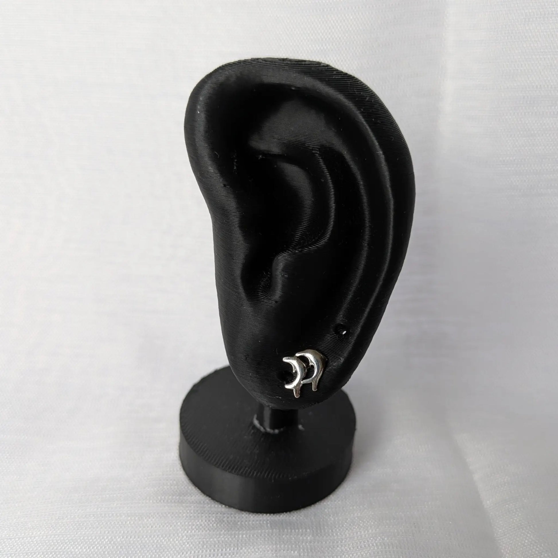 Silberne Delfin Ohrringe präsentiert an schwarzem Ohr-Display.