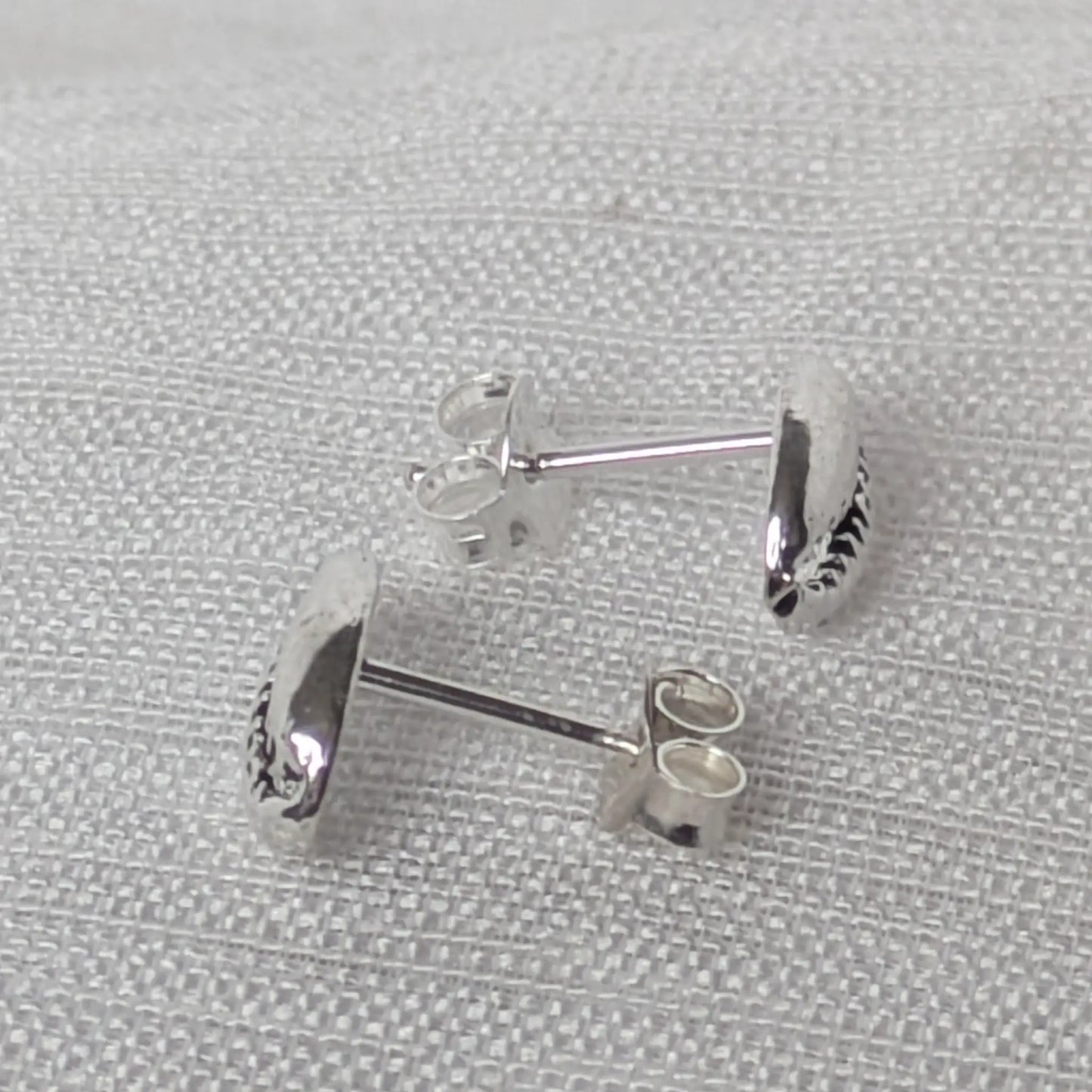 Kauri Muschel Ohrstecker: 925 Silber Ohrringe Maritim