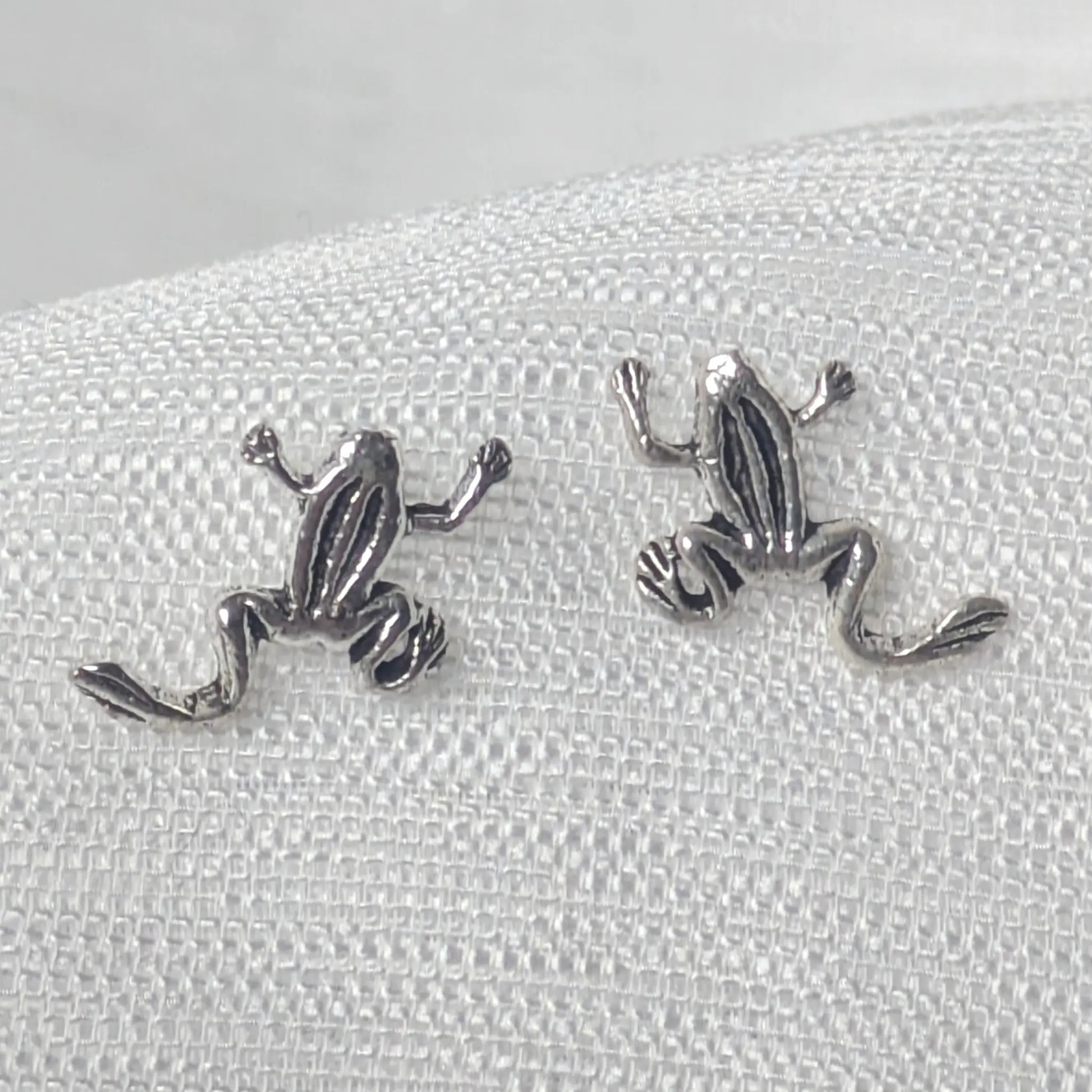 Nahaufnahme detaillierte Textur Frosch Ohrstecker 925 Silber