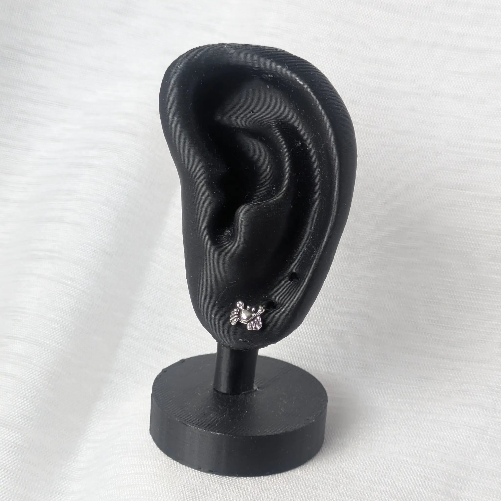 Ein Krabben Ohrstecker aus Silber getragen an einem realistischen schwarzen Ohr-Display.