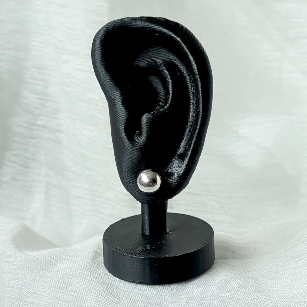 Ein 7mm großer Silber-Kugelohrstecker, dezent und elegant an einem schwarzen 3D-Ohr-Display präsentiert.