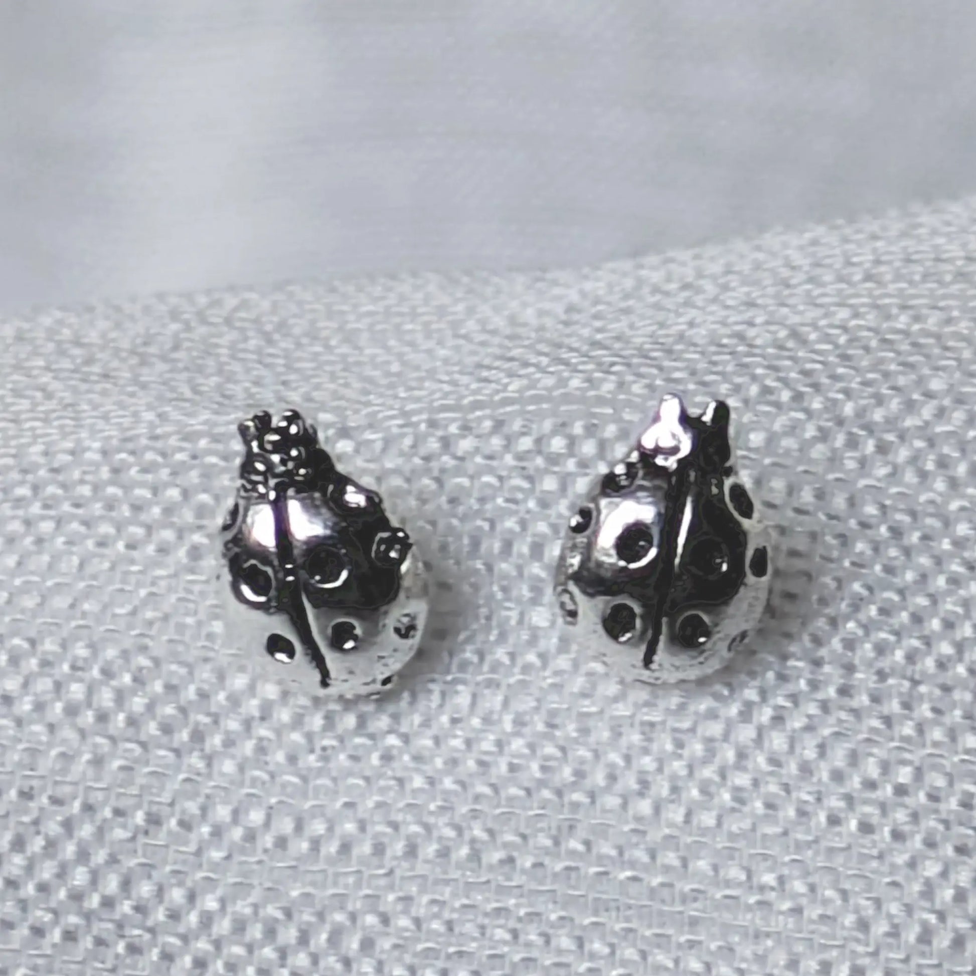 Detailreiche Nahaufnahme Marienkäfer Ohrstecker aus 925 Silber.
