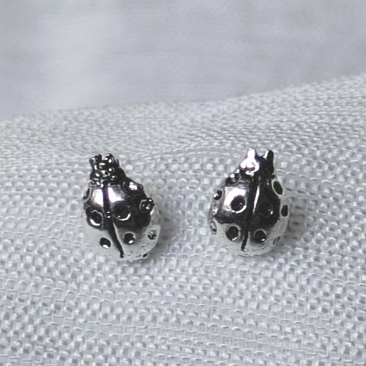 Detailreiche Nahaufnahme Marienkäfer Ohrstecker aus 925 Silber.