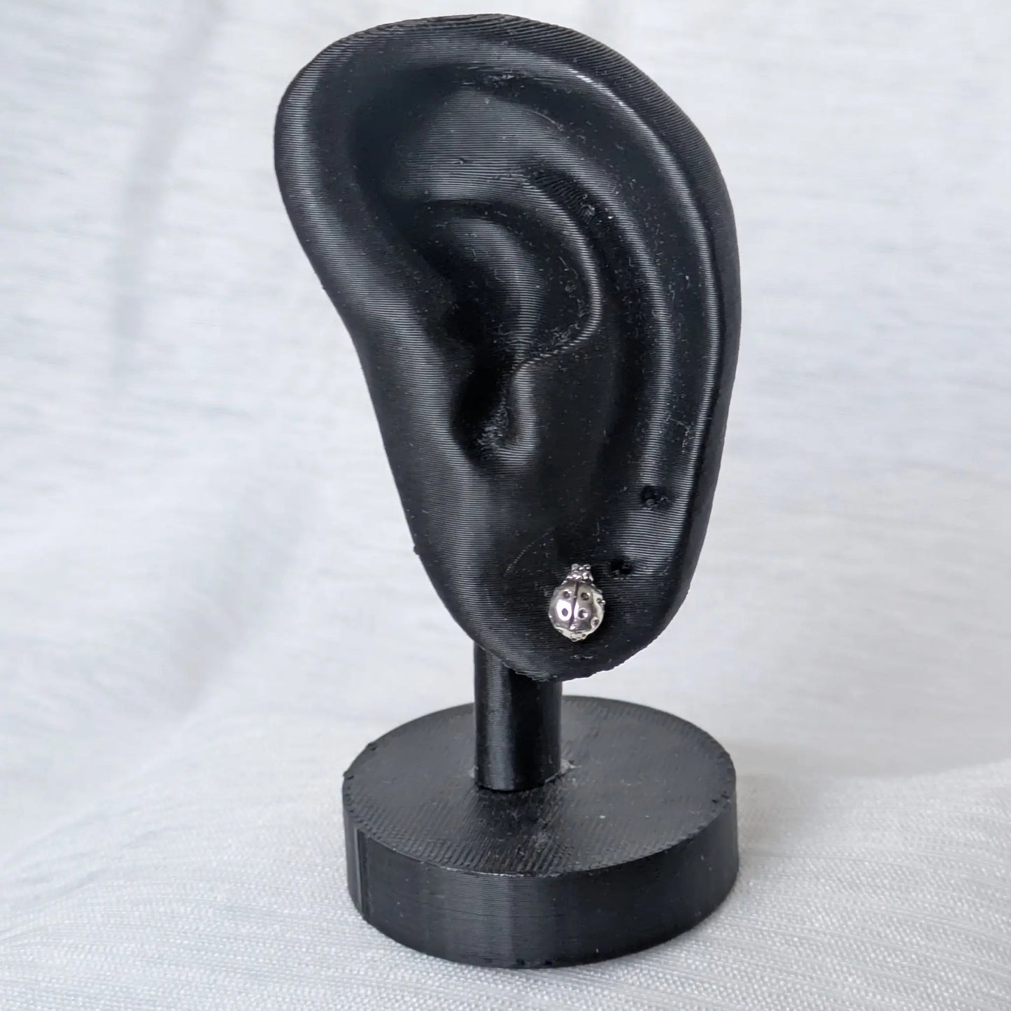 Marienkäfer Silberohrstecker am schwarzen Ohr-Display zur Größendarstellung.