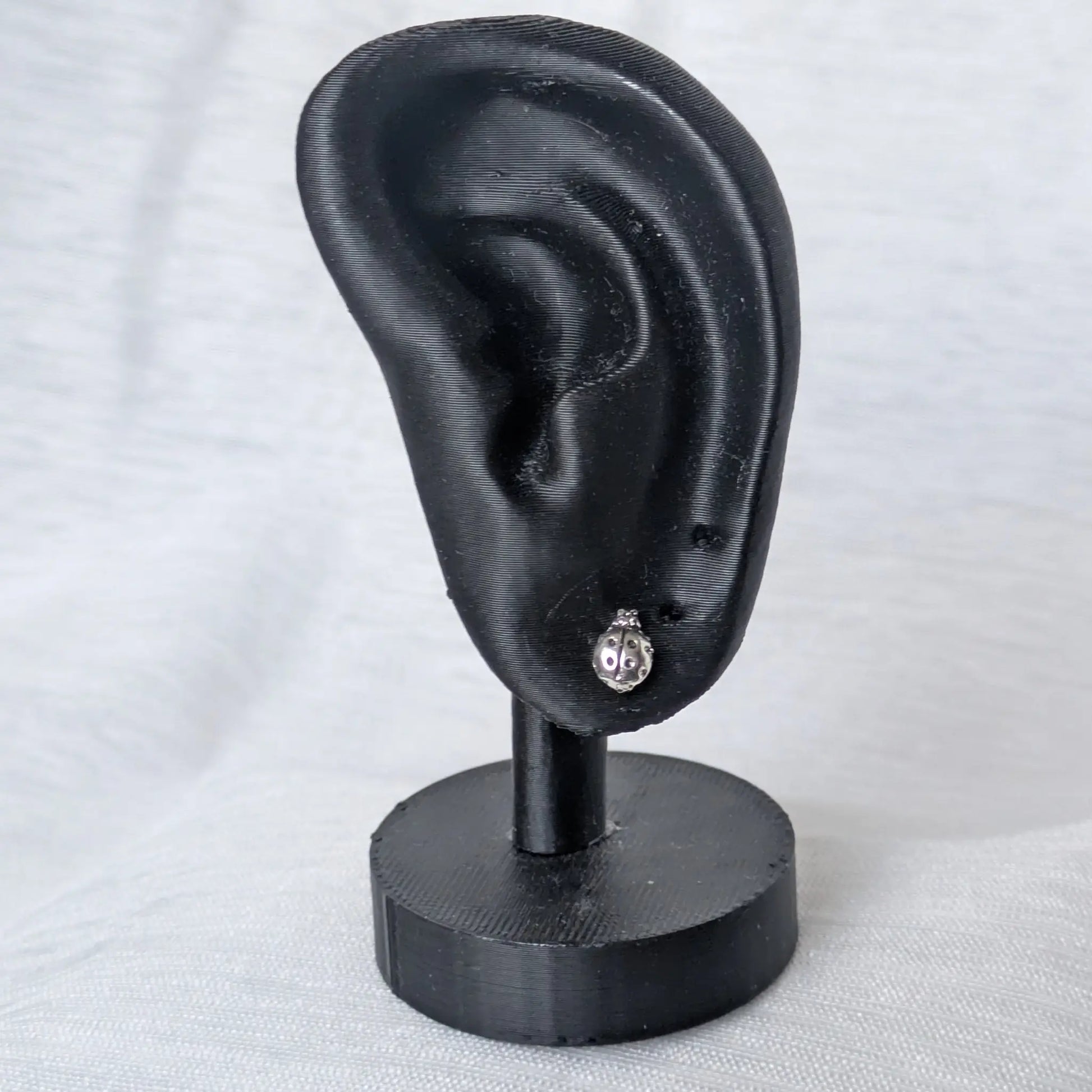 Marienkäfer Silberohrstecker am schwarzen Ohr-Display zur Größendarstellung.