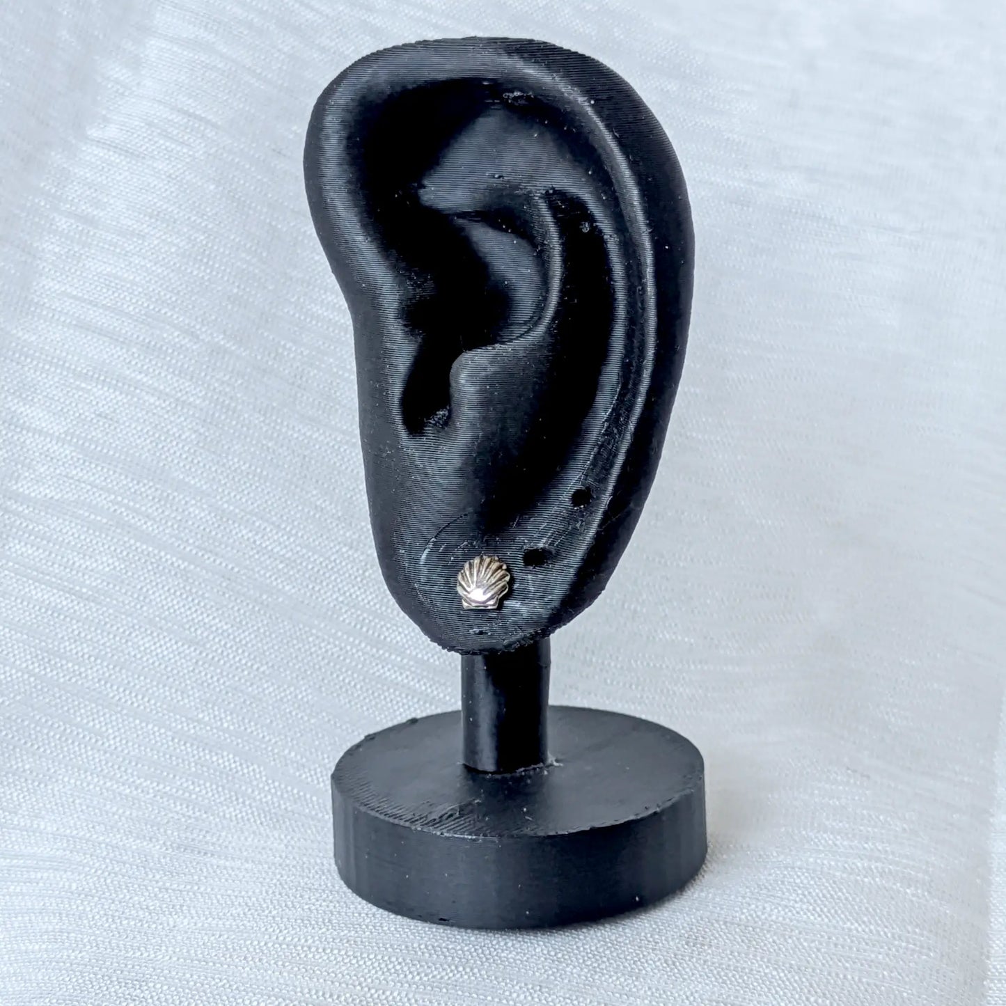 Muschel Ohrstecker 925 Silber getragen am schwarzen Display-Ohr zur Größenorientierung