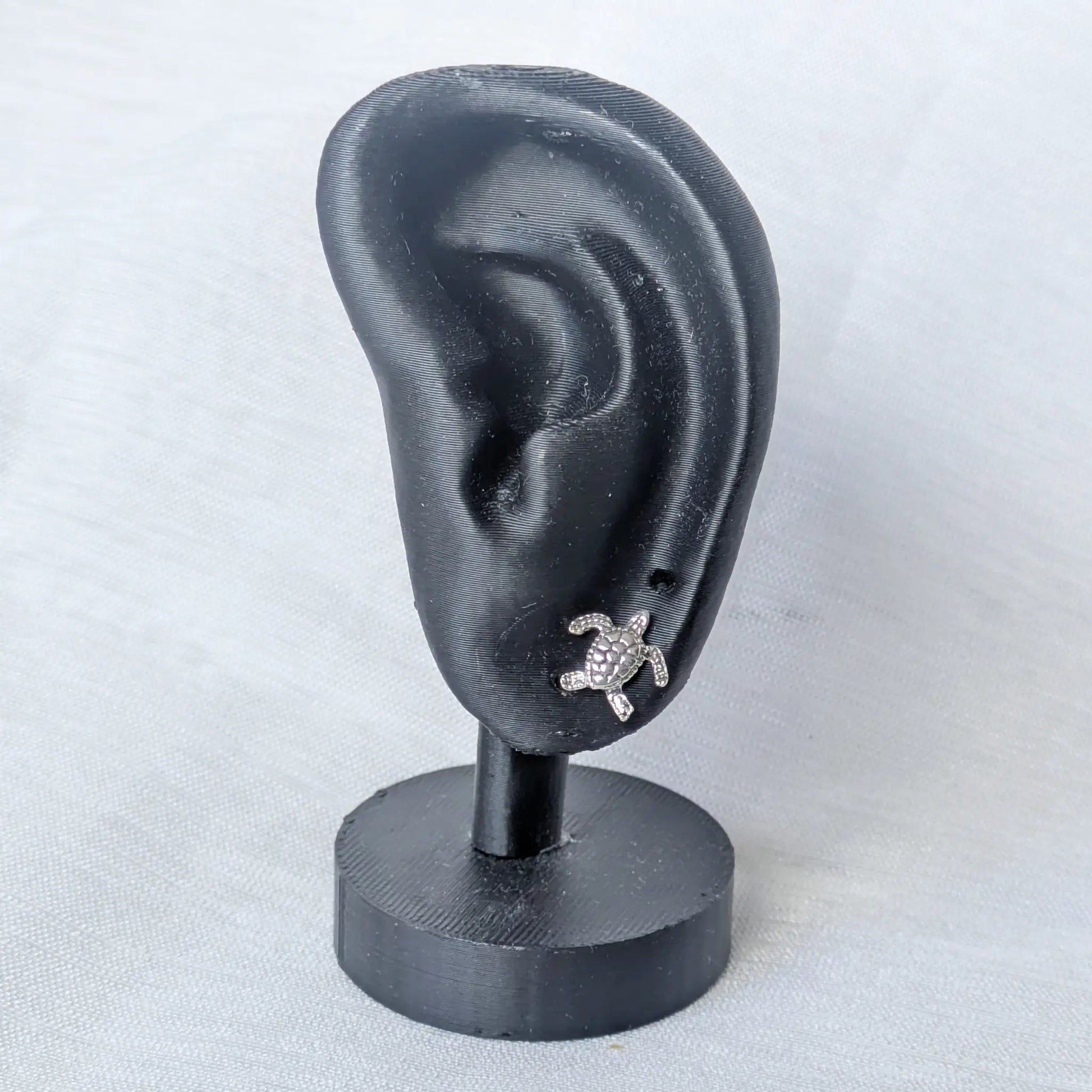 Schildkröten Ohrstecker Silber präsentiert an einem schwarzen Schmuck-Display.