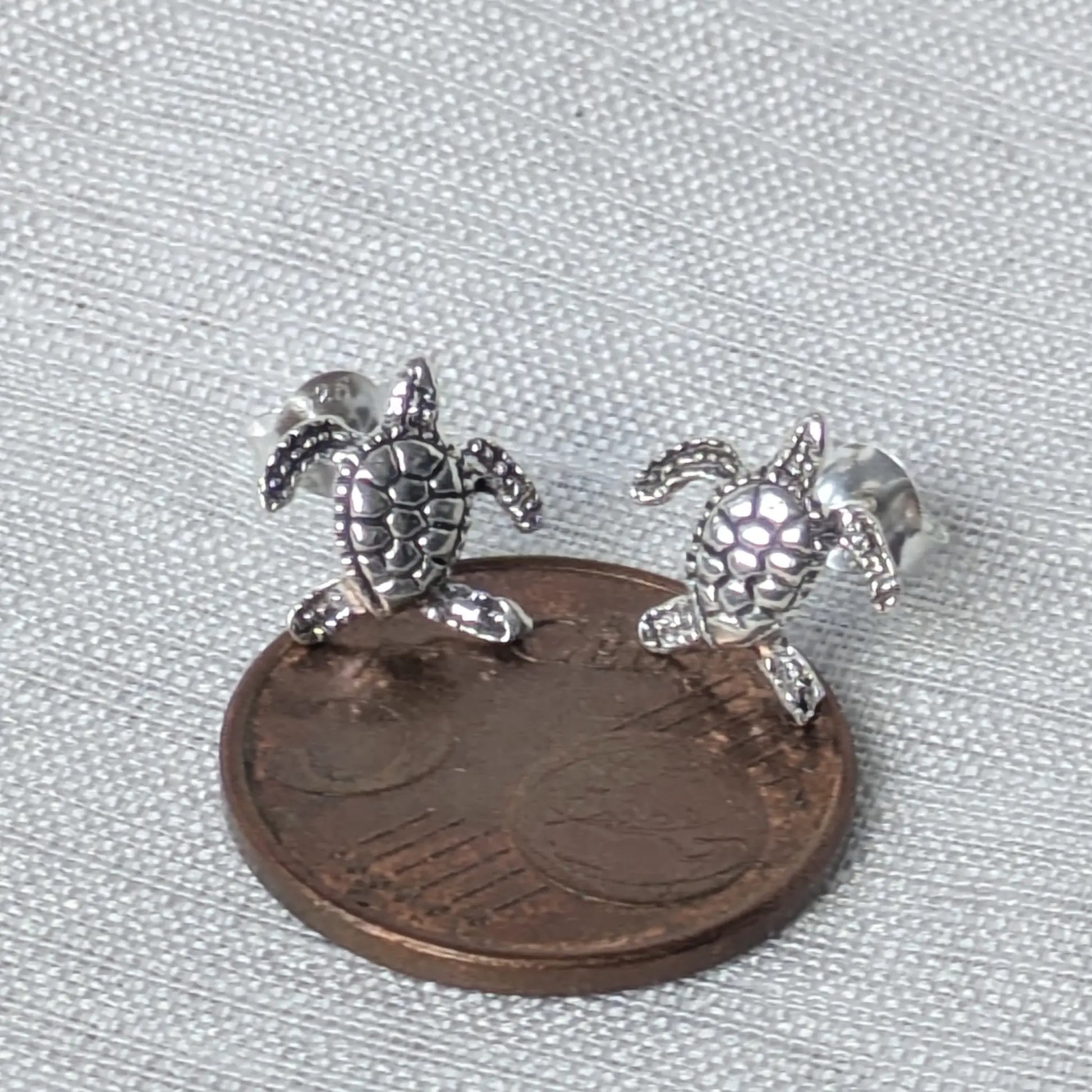 Größenvergleich der Schildkröten Ohrringe auf einer 5-Cent-Münze liegend.
