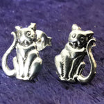 Lade das Bild in den Galerie-Viewer, Ohrstecker Katze 925 Silber - Ohrringe
