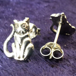 Lade das Bild in den Galerie-Viewer, Ohrstecker Katze 925 Silber - Ohrringe
