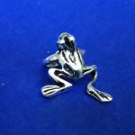 Lade das Bild in den Galerie-Viewer, Ohrklemme aus Silber im Frosch Design - Ohhringe
