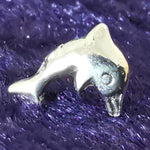Lade das Bild in den Galerie-Viewer, Ohrstecker Delfin 925 Silber - Ohrringe
