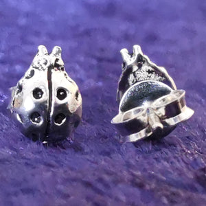 Ohrstecker aus Silber Maikäfer - Ohrringe