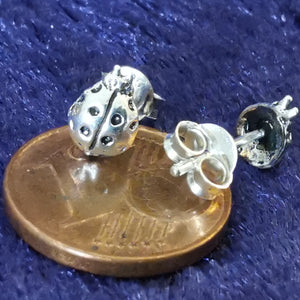 Ohrstecker aus Silber Maikäfer - Ohrringe