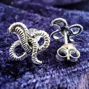 Ohrstecker aus Silber Kobra Schlange - Ohrringe