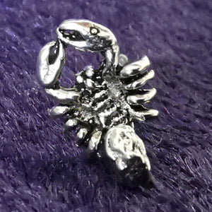 Skorpion Ohrstecker aus Silber